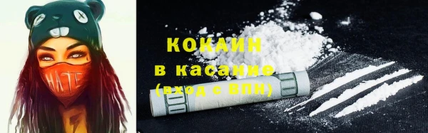 сатива Алзамай