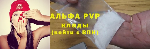 сатива Алзамай