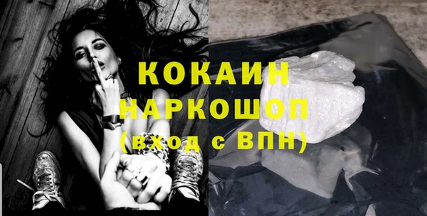 сатива Алзамай