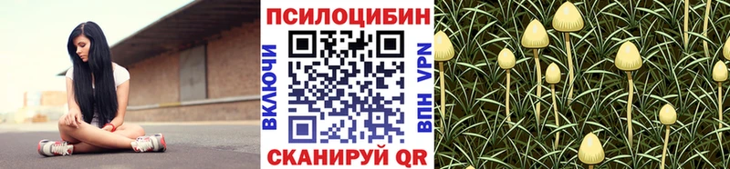 как найти закладки  Пучеж  Псилоцибиновые грибы Cubensis 